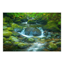 Der smaragdgrüne Fluss des irischen Baches
