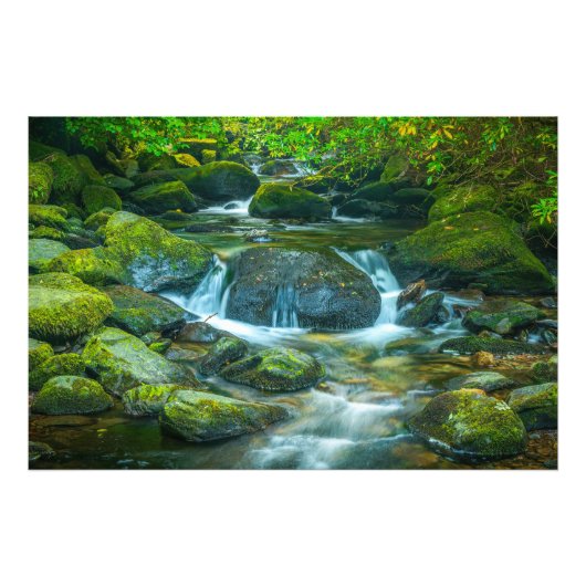 Der smaragdgrüne Fluss des irischen Baches Fotodruck (Vorne)