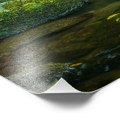 Der smaragdgrüne Fluss des irischen Baches Fotodruck (Ecke)