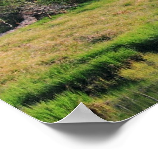 Der Smaragdwald Poster (Ecke)