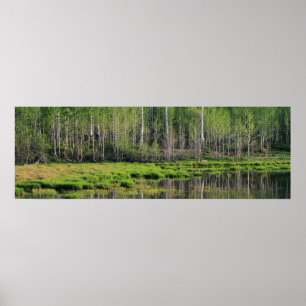 Der Smaragdwald Poster