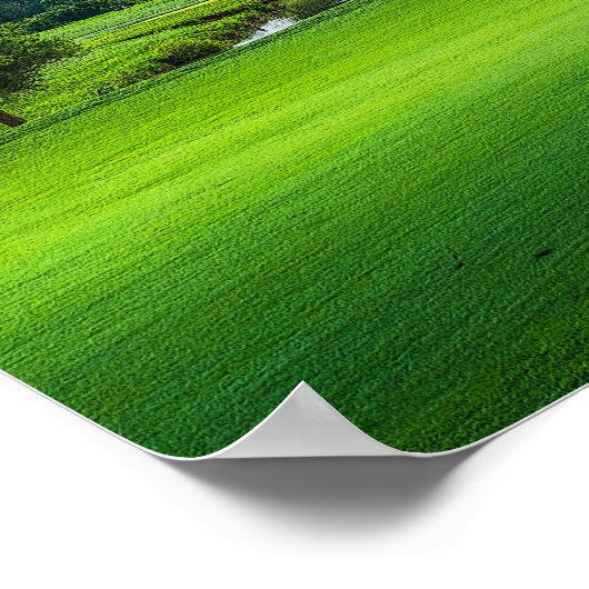 Der Sommer auf dem Golfplatz Poster (Ecke)