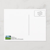 Der Sommer auf dem Golfplatz Postkarte (Rückseite)