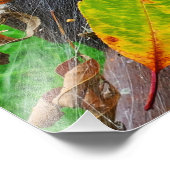 Der Sommer fällt im Web des Herbstes Fotodruck (Ecke)