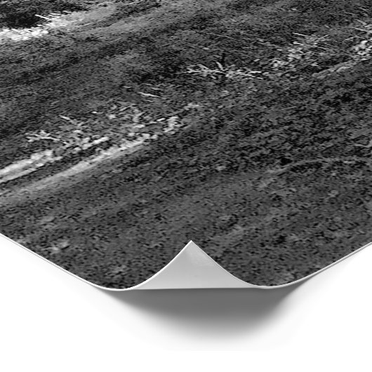 Der Sommer im Wald Poster (Ecke)