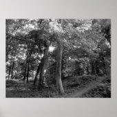 Der Sommer im Wald Poster (Vorne)