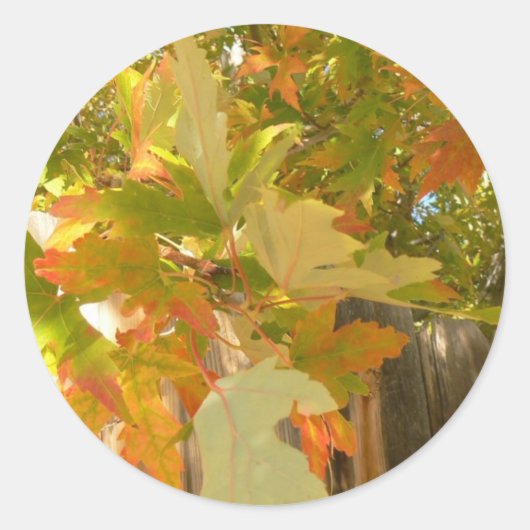 Der Sommer ist vorbei Runder Aufkleber (Vorderseite)