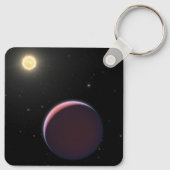Der sonnenähnliche Star Kepler 51 & Drei Riesenpla Schlüsselanhänger (Rückseite)