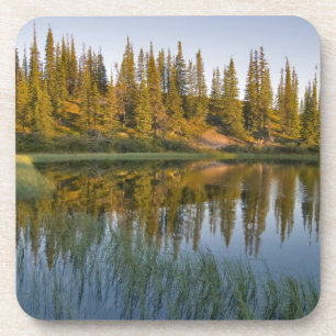 Der Sonnenaufgang erhellt Bäume auf einem unbenan Untersetzer