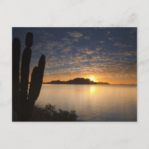 Der Sonnenaufgang über Isla Danzante im Golf von Postkarte