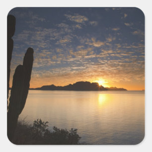 Der Sonnenaufgang über Isla Danzante im Golf von Quadratischer Aufkleber