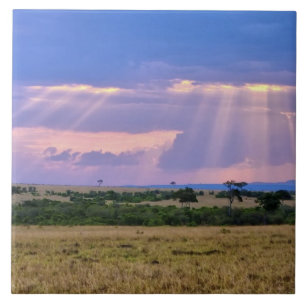 Der Sonnenuntergang auf dem Masai Mara. Fliese