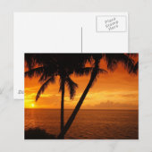 Der Sonnenuntergang Florida-Schlüssels Postkarte (Vorne/Hinten)