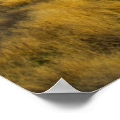 Der Sonnenuntergang hebt die rote Rinde von Sträuc Poster (Ecke)