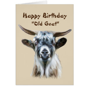 Der sonnige Geburtstag über dem Hügel Alte Ziege S