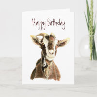 Der sonnige Geburtstag, von der alten Ziege, die S