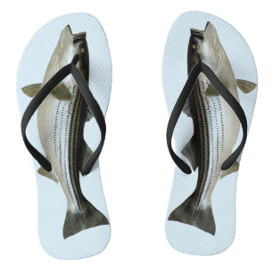 Der sonnige Streifenbarsch für den Fischer Badesandalen