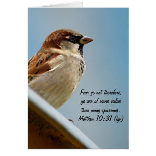 Der Sparrow