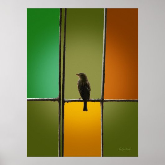 Der Sparrow Poster (Vorne)