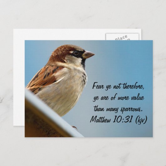 Der Sparrow Postkarte (Vorne/Hinten)