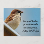 Der Sparrow Postkarte (Vorderseite)