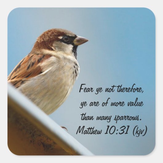 Der Sparrow Quadratischer Aufkleber (Vorderseite)