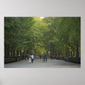 Der späte Sommer der Mall Poster (Vorne)