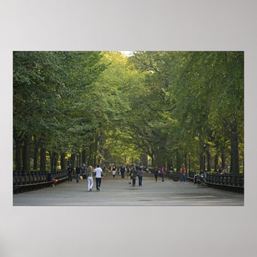 Der späte Sommer der Mall Poster (Vorne)