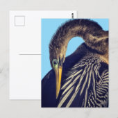 "Der Speerfischer" Postkarte (Vorne/Hinten)