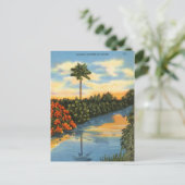 Der Spiegel der Natur in Florida Postkarte (Stehend Vorderseite)