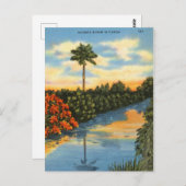 Der Spiegel der Natur in Florida Postkarte (Vorne/Hinten)