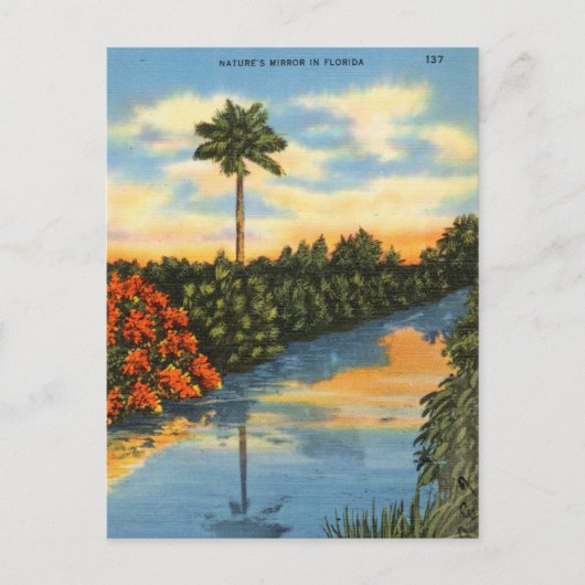 Der Spiegel der Natur in Florida Postkarte (Vorderseite)