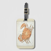 Der Spiegel der Uranie, die Konstellation des Vint Gepäckanhänger (Vorderseite Vertikal)