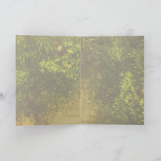 der Spiegel Karte (Innenseite)