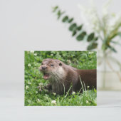 Der spielerische Geist des eurasischen Otters Postkarte (Stehend Vorderseite)