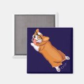 Der Sploot von Corgi Magnet (Vorderseite/Rückseite)