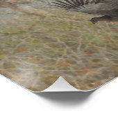 Der Sprocker Spanier, Gun Dog Art Poster (Ecke)