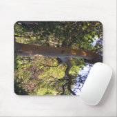 Der Spuk Baum... Mousepad (Mit Mouse)