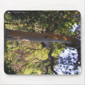 Der Spuk Baum... Mousepad (Vorne)