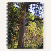 Der Spuk Baum.... Notizblock (Vorderseite)