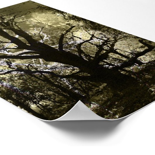 Der Spuk Baum Poster (Ecke)