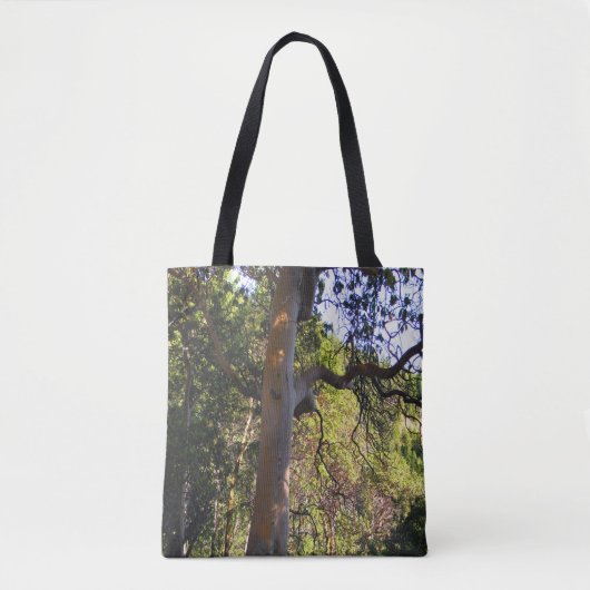 Der Spuk Baum... Tasche (Vorderseite)