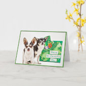 Der St. Patrick's Day Chihuahua Karte (Gelbe Blume)