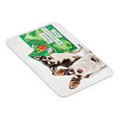 Der St. Patrick's Day Chihuahua Magnet (Rechte Seite)