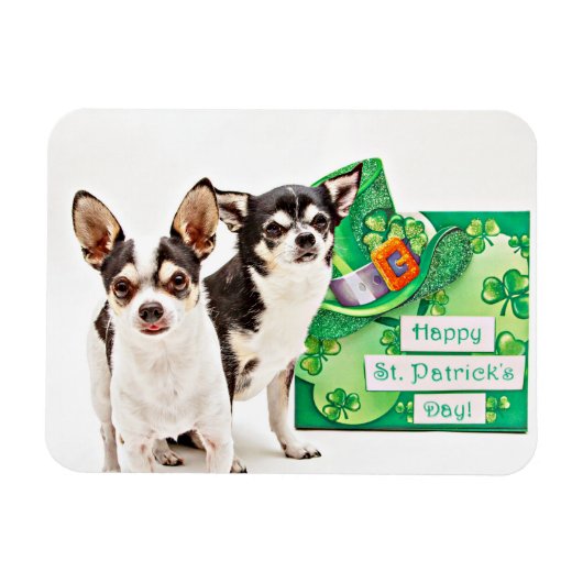 Der St. Patrick's Day Chihuahua Magnet (Horizontal)