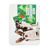 Der St. Patrick's Day Chihuahua Magnet (Vertikal)