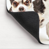 Der St. Patrick's Day Chihuahua Mousepad (Ecke)