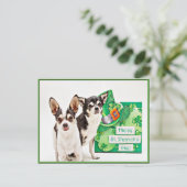 Der St. Patrick's Day Chihuahua Postkarte (Stehend Vorderseite)