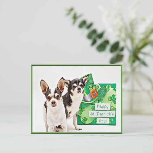 Der St. Patrick's Day Chihuahua Postkarte (Stehend Vorderseite)