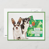 Der St. Patrick's Day Chihuahua Postkarte (Vorne/Hinten)